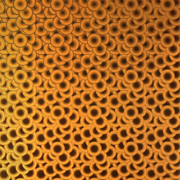 SELF ADHESIVE SPECIAL OFFER - Holographic Bubbles :- Copper - Mini Roll 30cm x 50cm