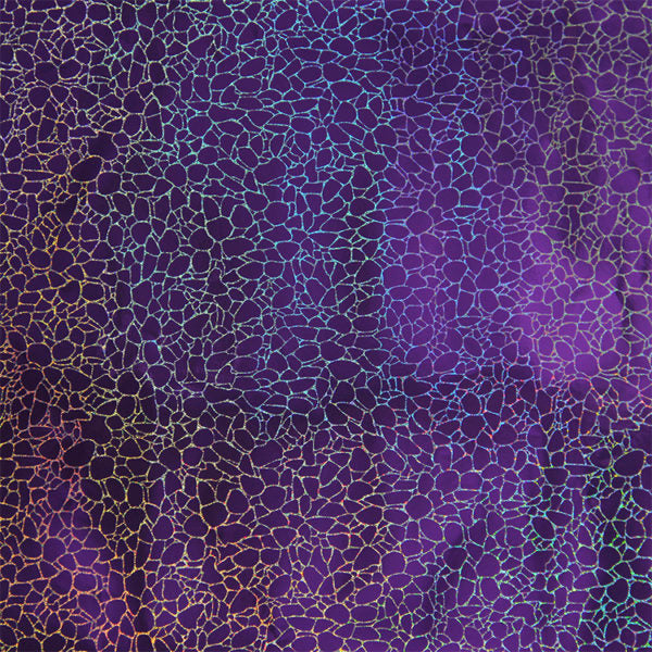 Holographic Cobblestone :- Purple - Metre
