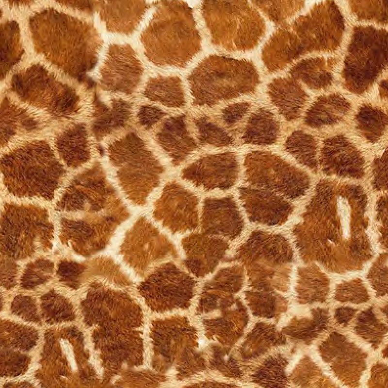 HTV SPECIAL OFFER - Siser EasyPatterns :- Wild Giraffe- A4 sheet