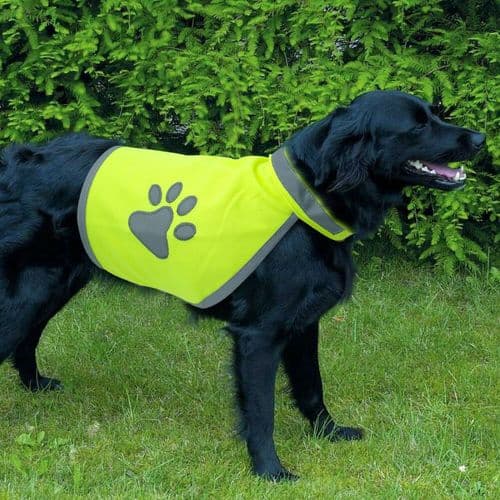 Polyester Hi Vis Dog Safety Vest