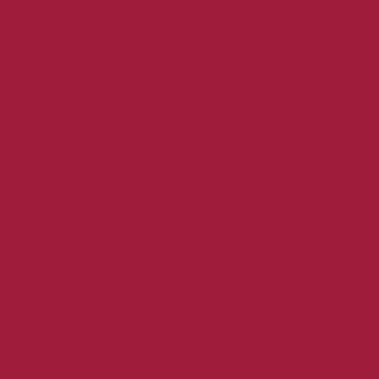 Siser Easyweed :- Burgundy (A0016) 500mm x 25 Metres