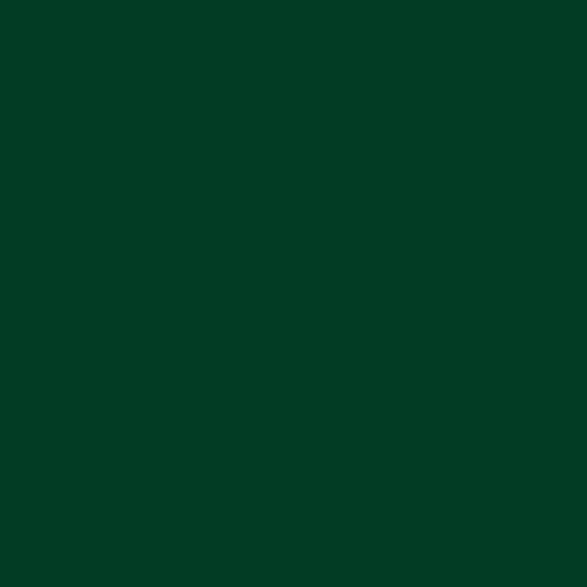 Siser Easyweed :- Dark Green (A0010) 500mm x 25 Metres