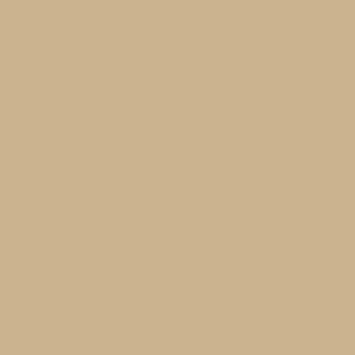 Siser Easyweed :- Sand (A0037) 500mm x 25 Metres