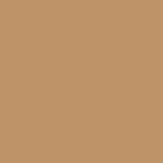 Siser Easyweed :- Tan (A0073) 500mm x 25 Metres