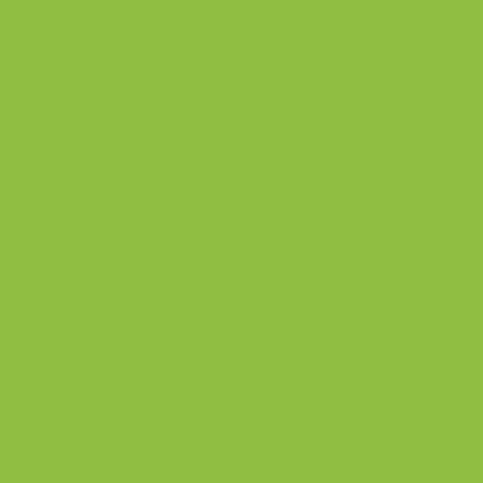 Siser Hi 5 :- Apple Green (H50058) - Mini Roll
