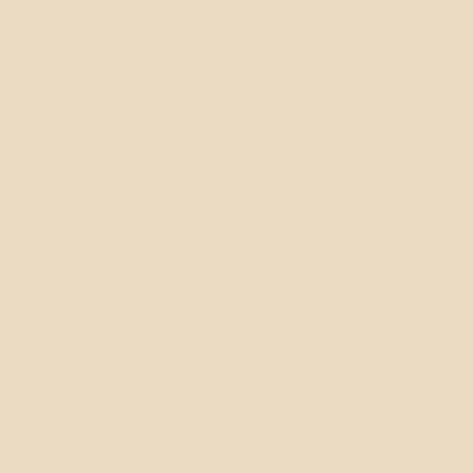 Siser Hi 5 :- Ivory (H50117) - A4 sheet
