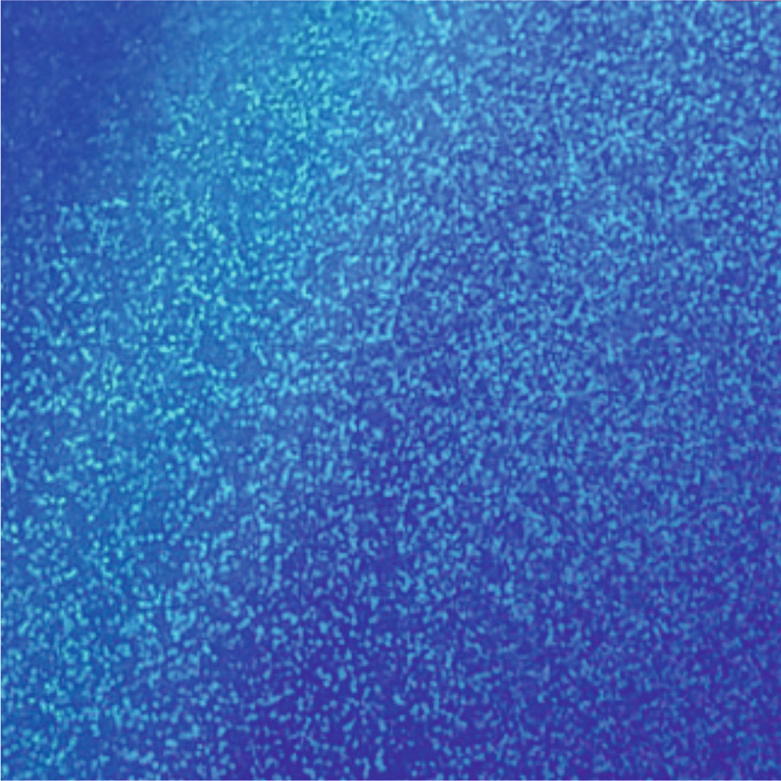Holographic Sparkle Self Adhesive :- Royal Blue - A4 sheet