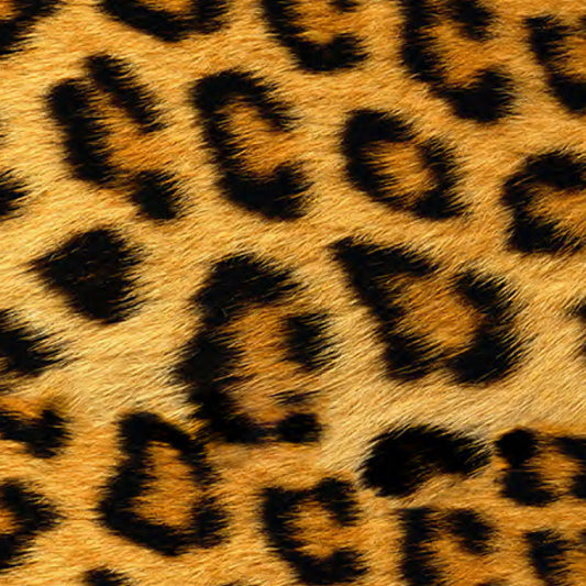 Siser EasyPatterns :- Wild Leopard - Metre