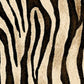 Siser EasyPatterns :- Wild Zebra - Mini Roll