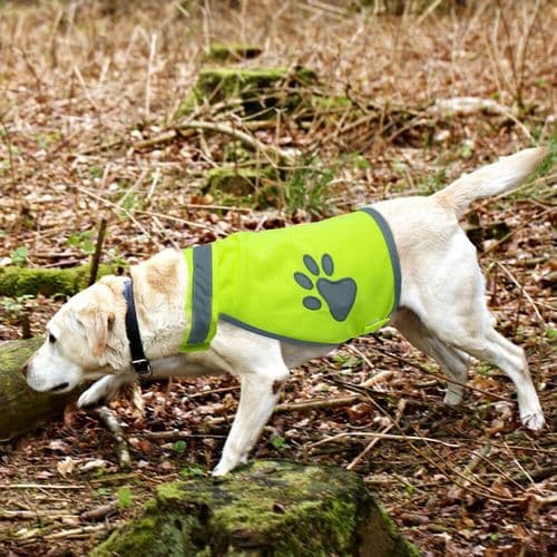 Polyester Hi Vis Dog Safety Vest