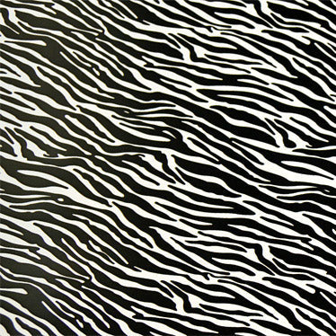 Siser EasyPatterns :- Zebra - A4 sheet